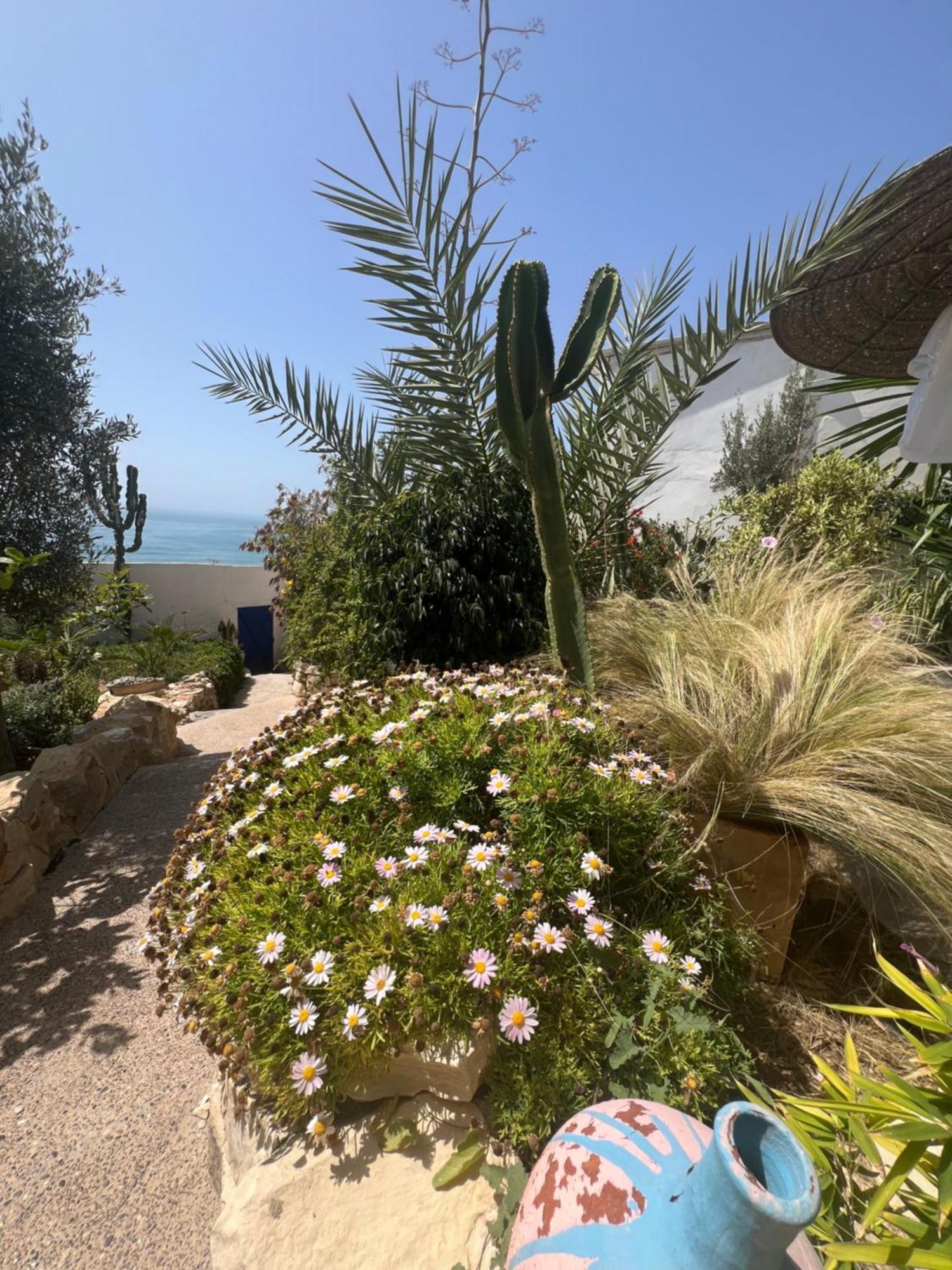 أورير Villa Jardin De L'Ocean المظهر الخارجي الصورة